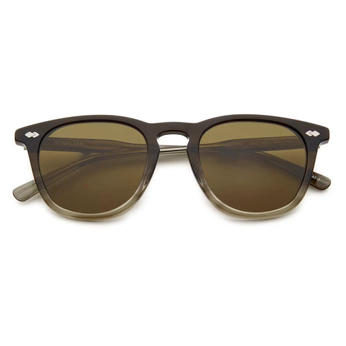 Woods Sunglasses - Polarized
