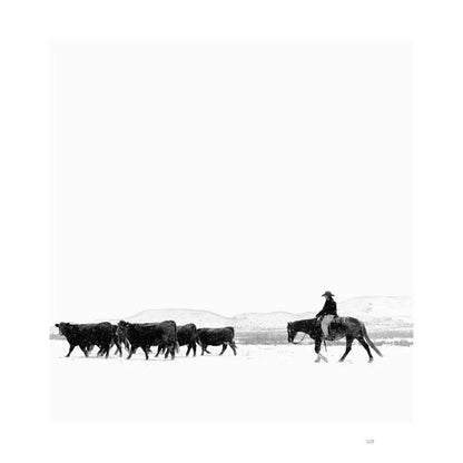 American Cowboys - Coffee Table Book