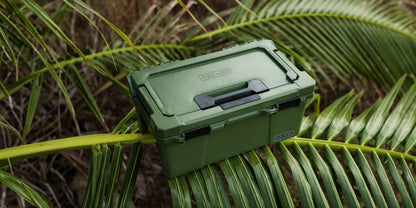 Sixer 16 Gear Case