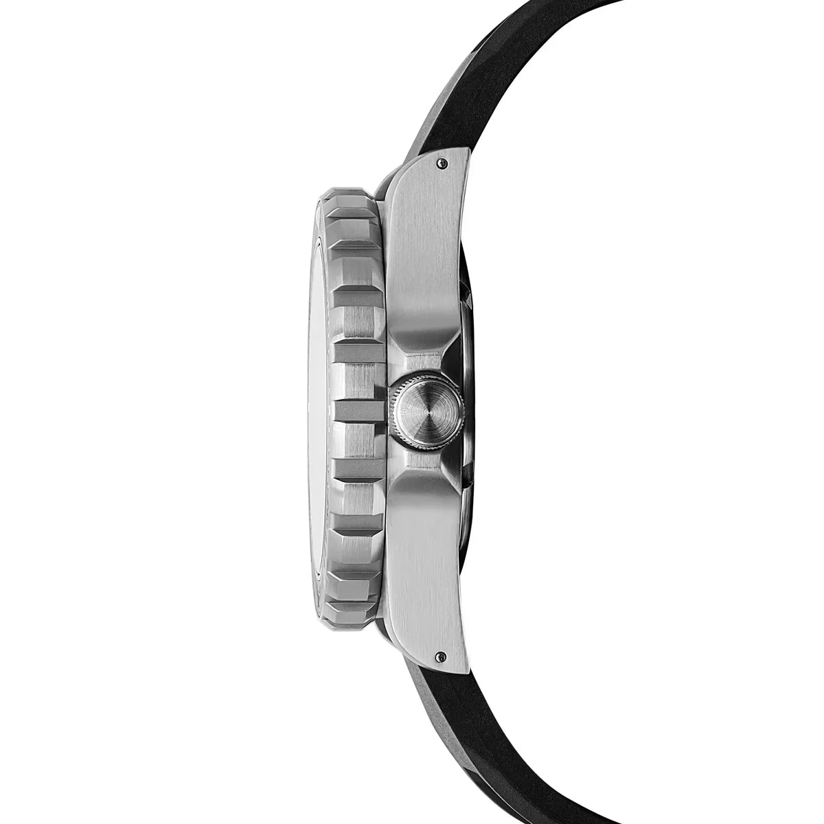 41mm Arctic Edition Large Diver Quartz (TSAR) Watch