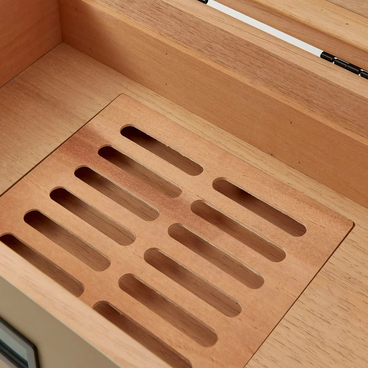 Military Glass Top Cigar Humidor - Exclusive