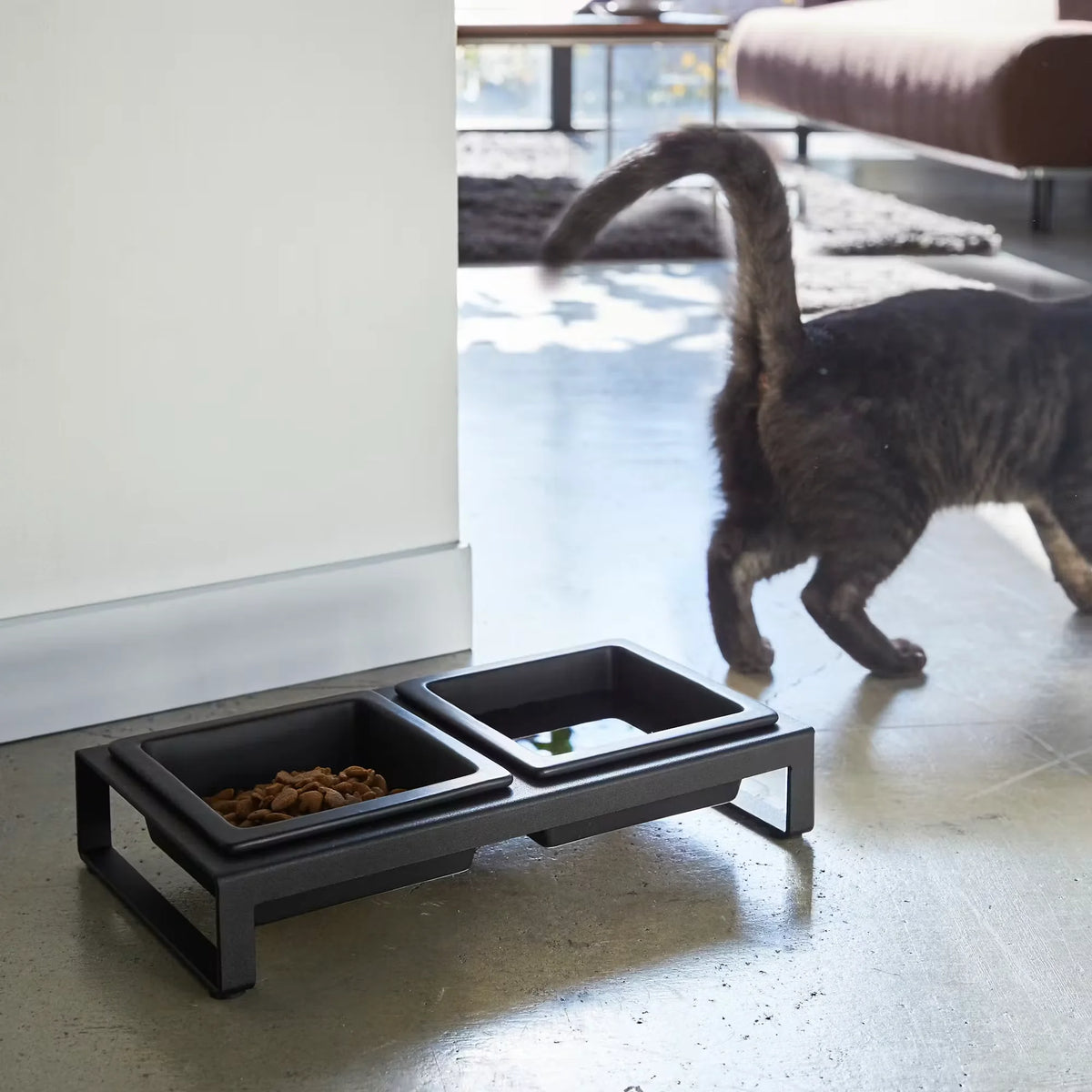 Pet Bowls with Stand