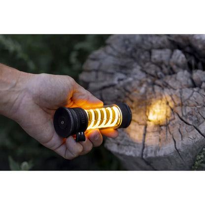 Edison Light Stick