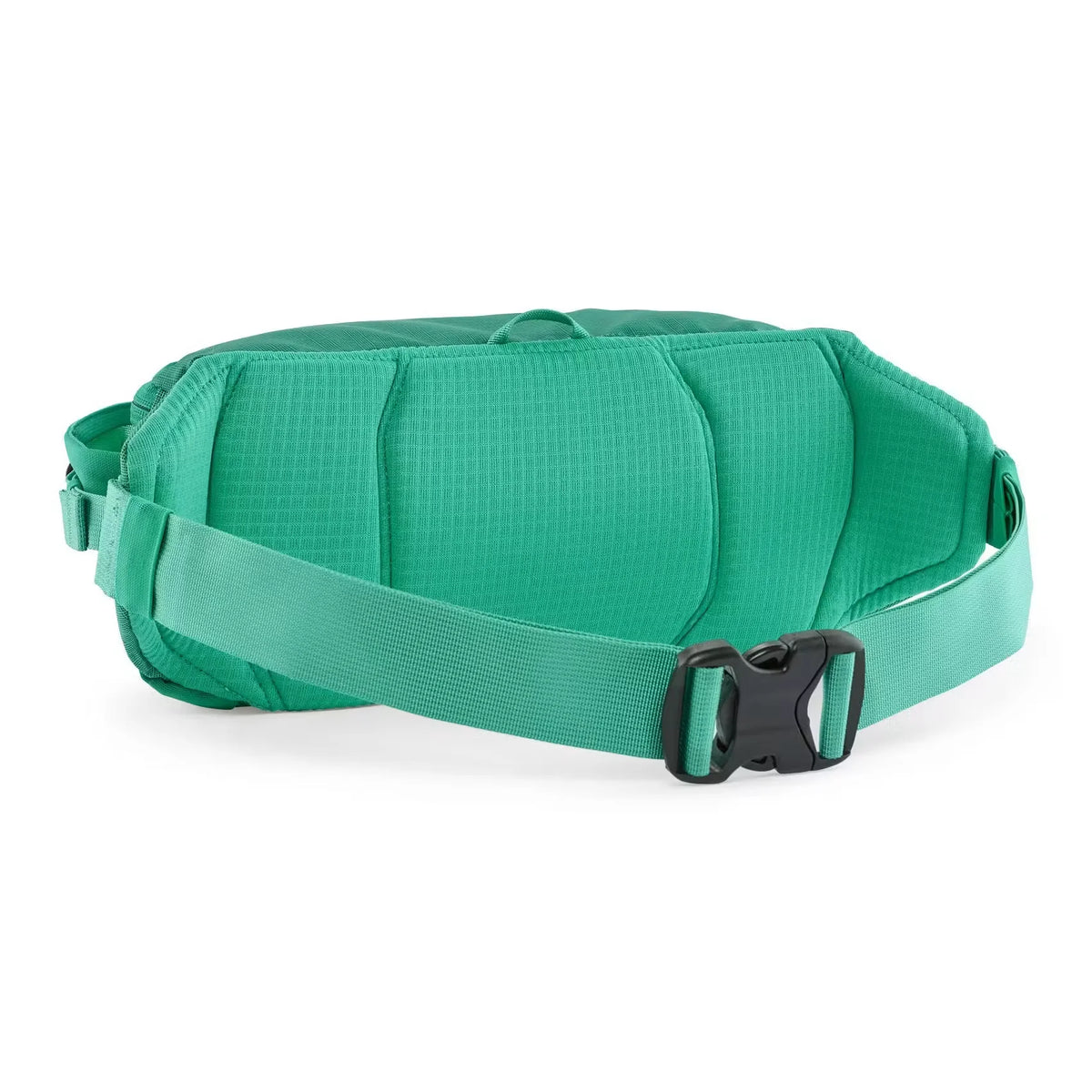 Black Hole Waist Pack 5L