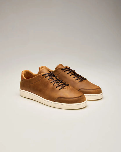 Terra Low Sneaker