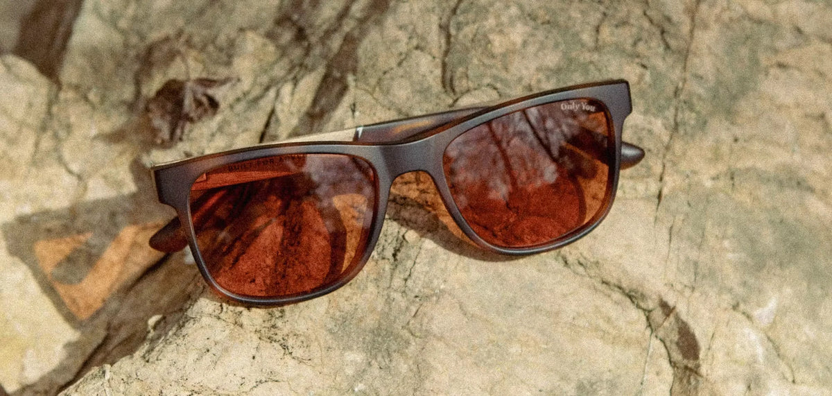Trail Smokey Bear Sunglasses