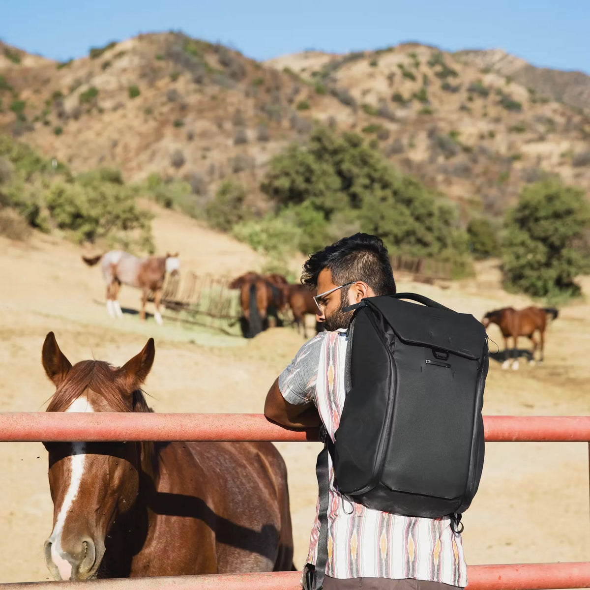 Everyday Backpack 30L v2
