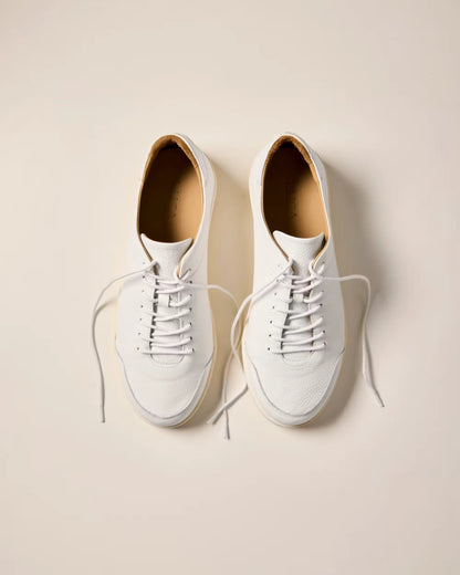 Terra Low Sneaker