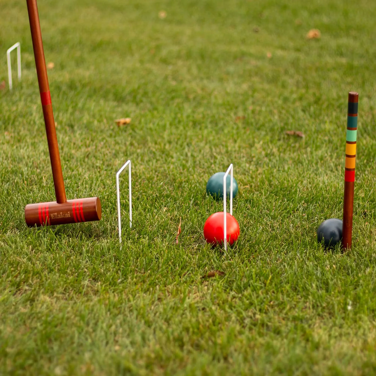 6 Player Croquet Set