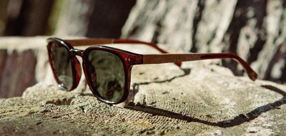 Topo Smokey Bear Sunglasses