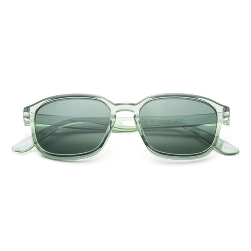Sunseekers Sunglasses