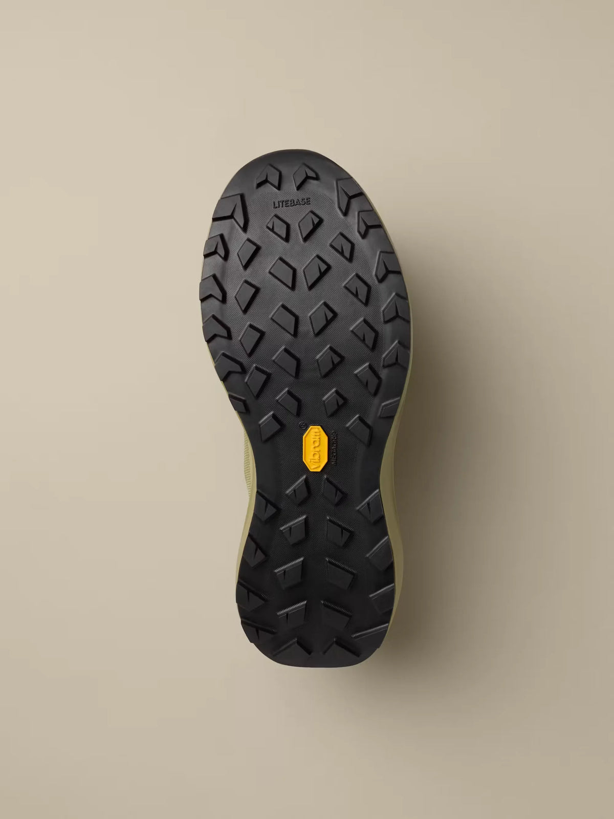 Norvan LD4 GTX Trail Sneaker