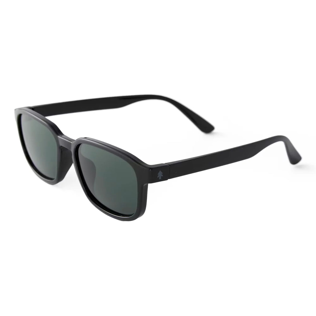 Sunseekers Sunglasses