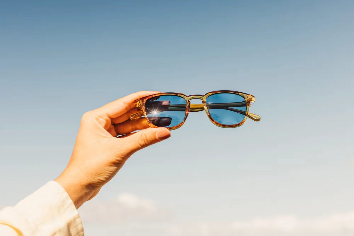 Tango Sunglasses