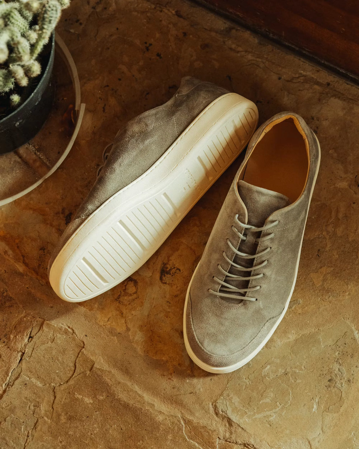 Terra Low Sneaker