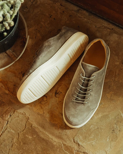 Terra Low Sneaker