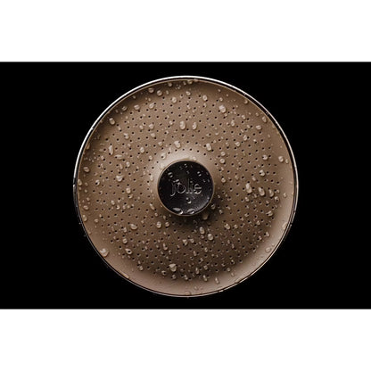 Filtered Showerhead