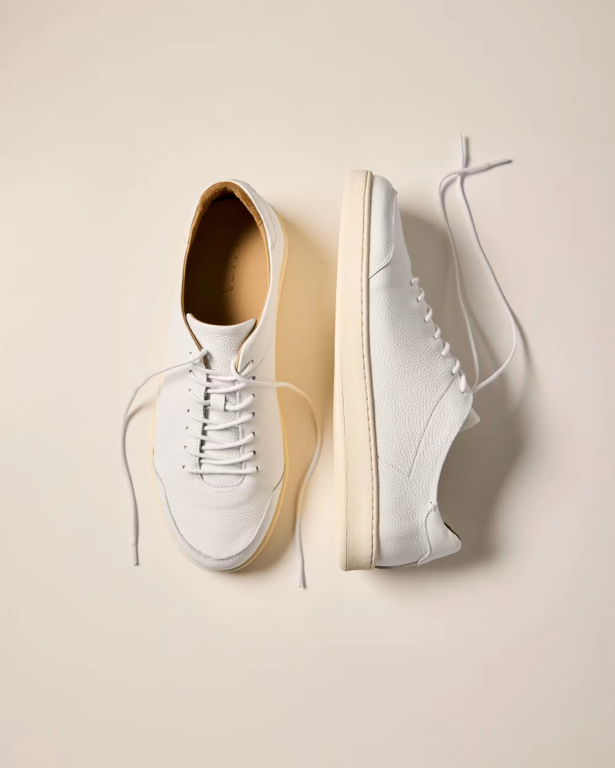 Terra Low Sneaker