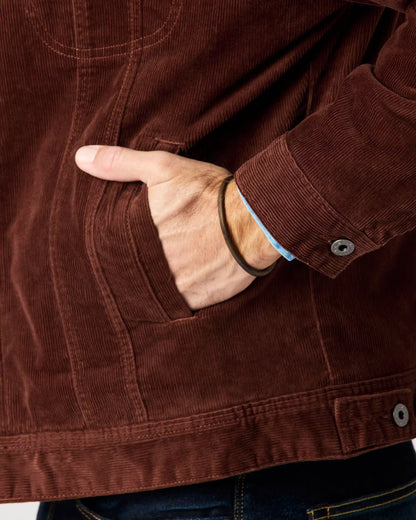 Sherpa-Lined Trucker Jacket