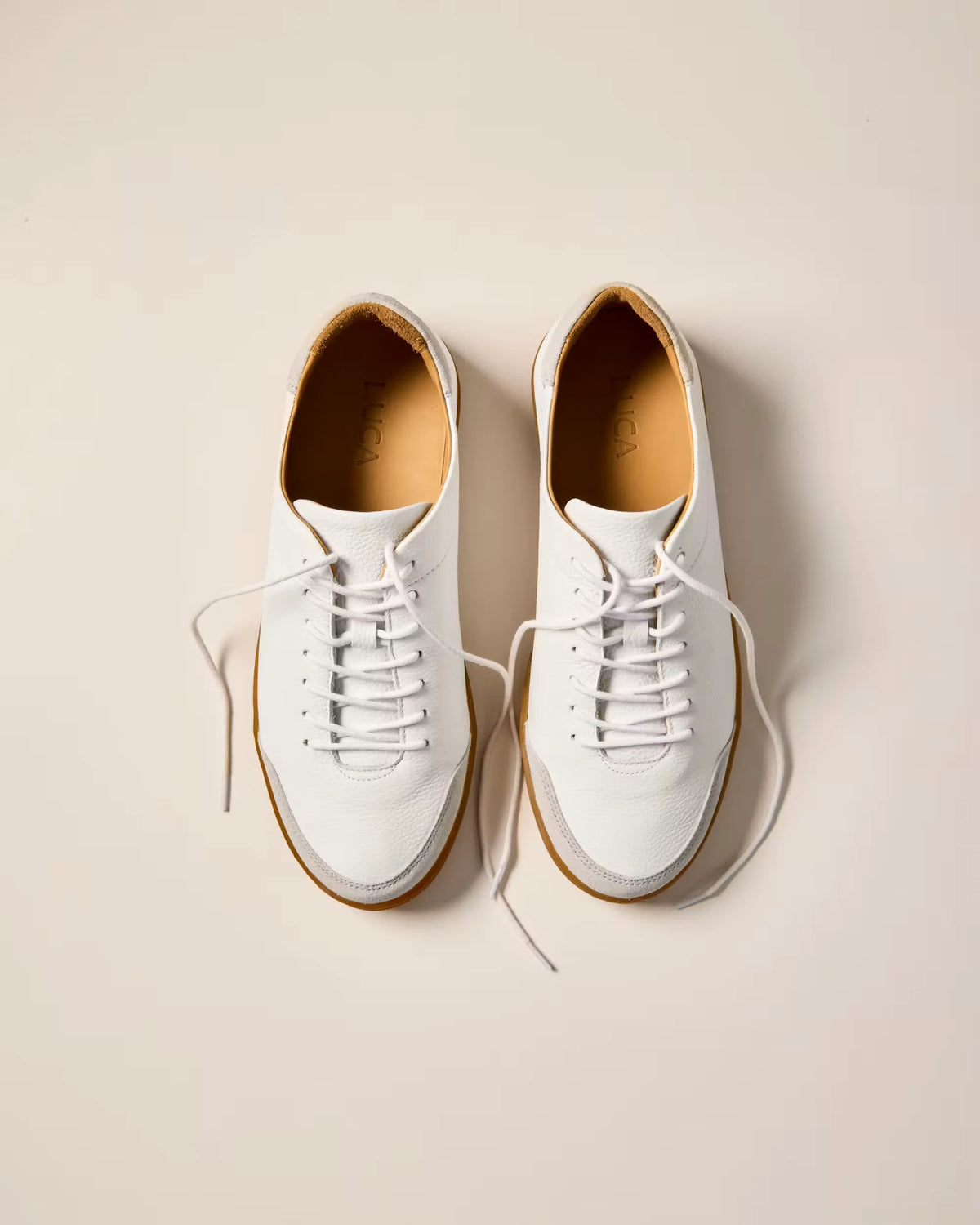 Terra Low Sneaker