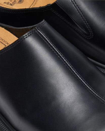 Orleans San Mule