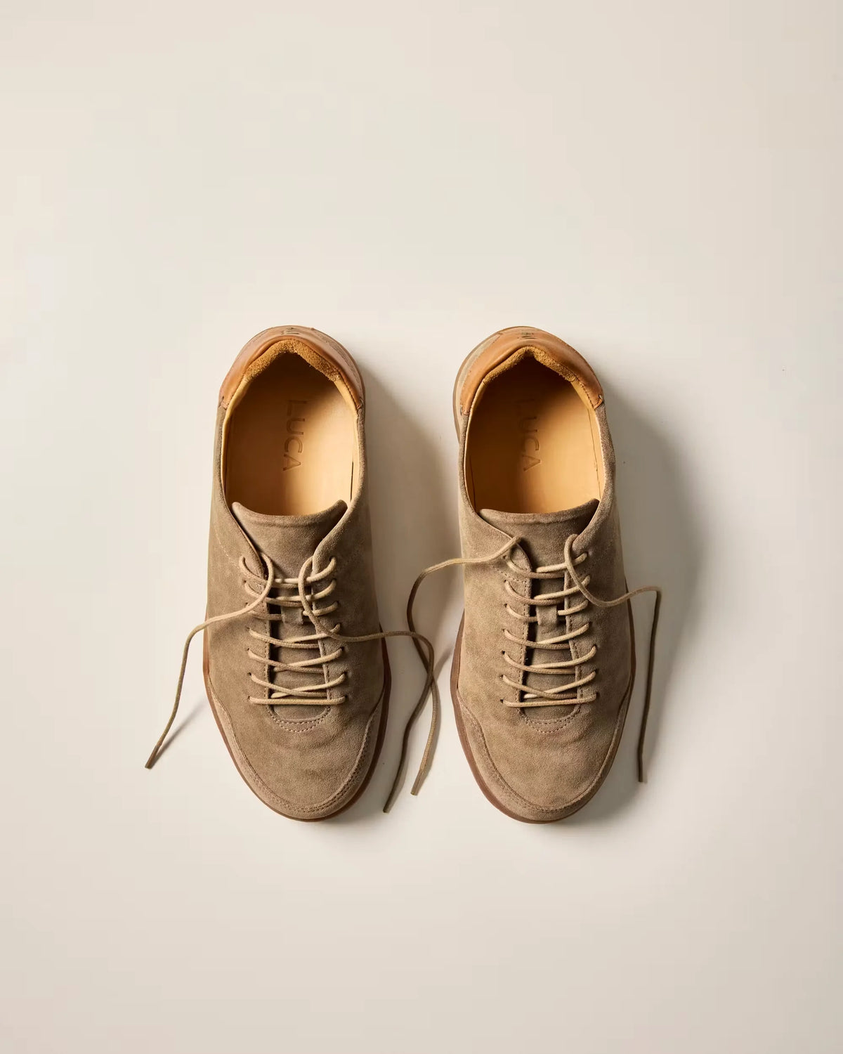 Terra Low Sneaker
