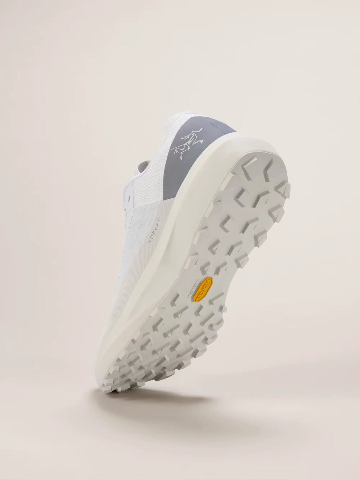 Norvan LD4 Trail Sneaker
